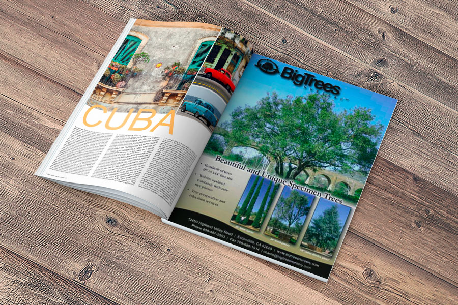 Philip Gordon magazine ad for Big Trees Nursery